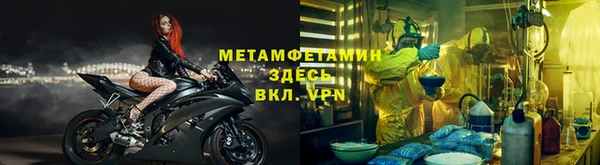 прущие грибы Куйбышев