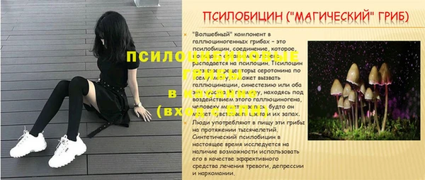 прущие грибы Куйбышев