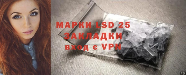 прущие грибы Куйбышев