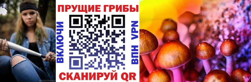 Купить  Волоколамск  Псилоцибиновые грибы Psilocybine cubensis 